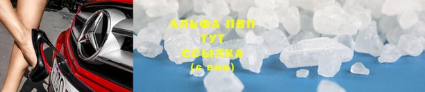 гидра Балахна