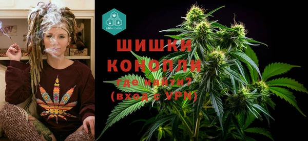 гидра Балахна