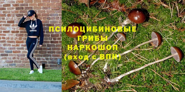 СК Баксан