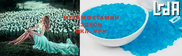 прущие грибы Покровск